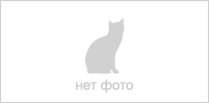 Кровать "Бриз-3", 80х190, ясень светлый, лайм, узор квадрат, бортик справа